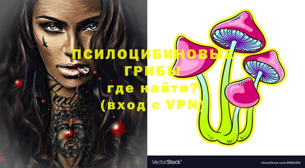 Альфа ПВП Арсеньев