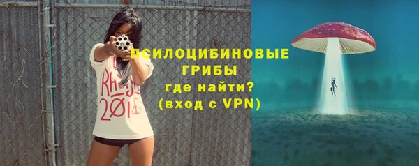 Альфа ПВП Арсеньев
