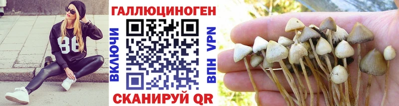 цены наркотик  OMG ССЫЛКА  Галлюциногенные грибы прущие грибы  Сургут 